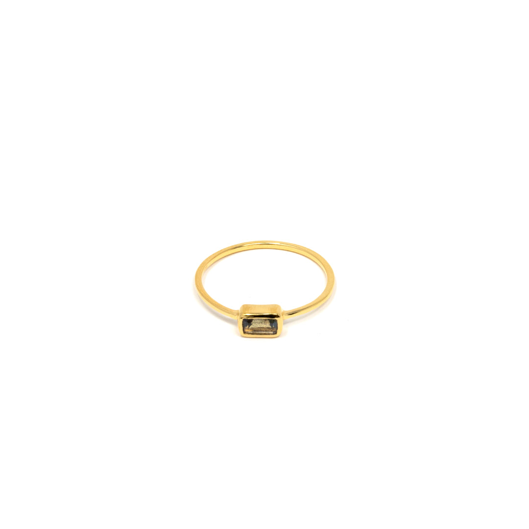 Gold Dipped