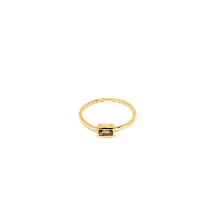 Gold Dipped
